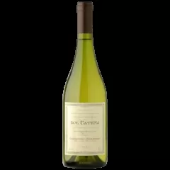 Vinho Dv Catena Chardonnay Chardonnay 750ml